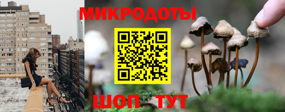 Псилоцибиновые грибы Magic Shrooms Казань