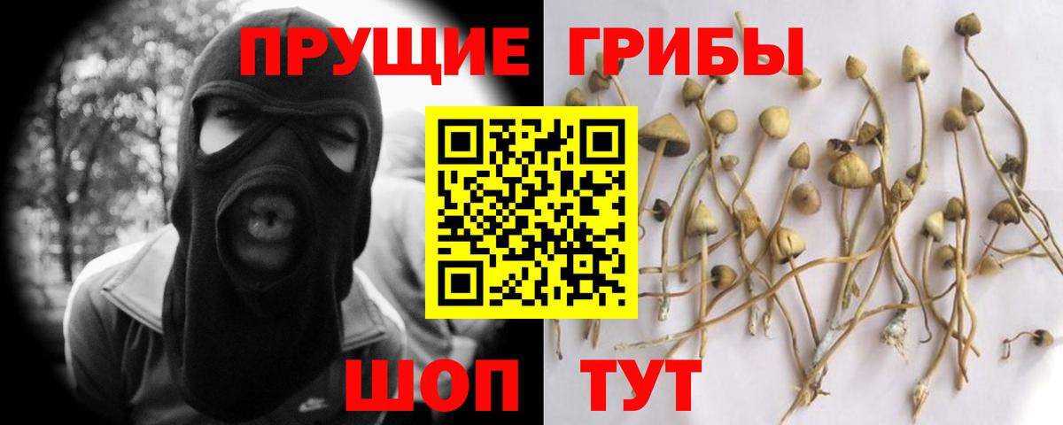 Галлюциногенные грибы MAGIC MUSHROOMS  Псилоцибиновые грибы MAGIC MUSHROOMS  Вход с VPN  Казань 